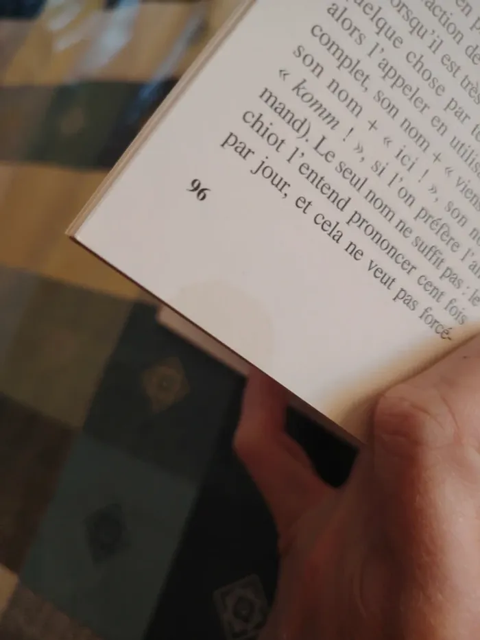 Livre sur le boxer - photo numéro 12