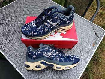 Baskets Nike tn bleu beige taille 41