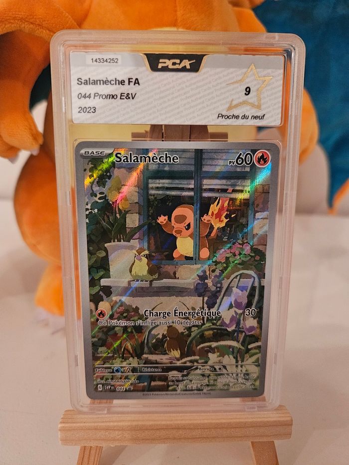 Salamèche Promo ETB