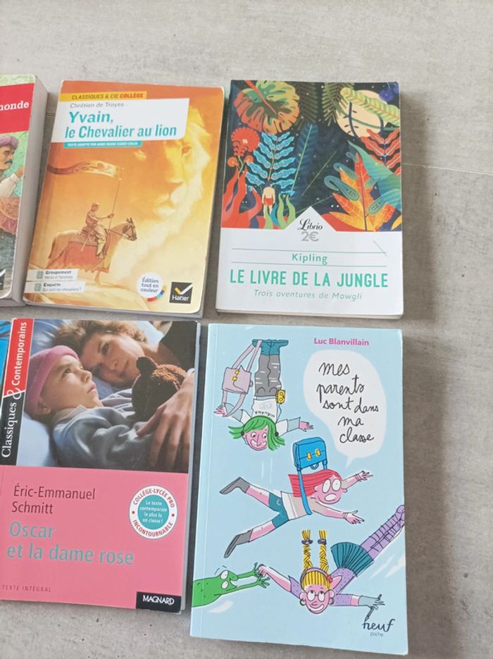 Livres - photo numéro 3