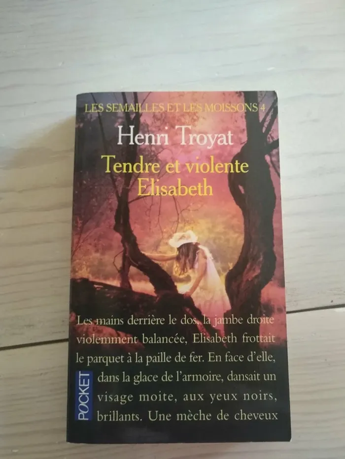 Livres Romans - photo numéro 14