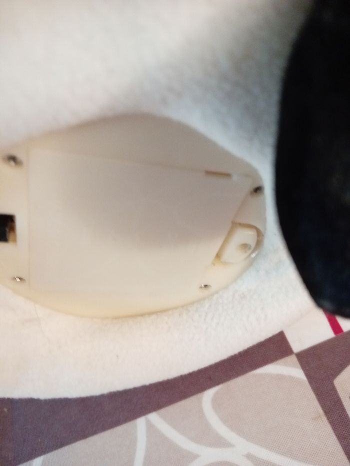 Bonhomme de neige - photo numéro 3