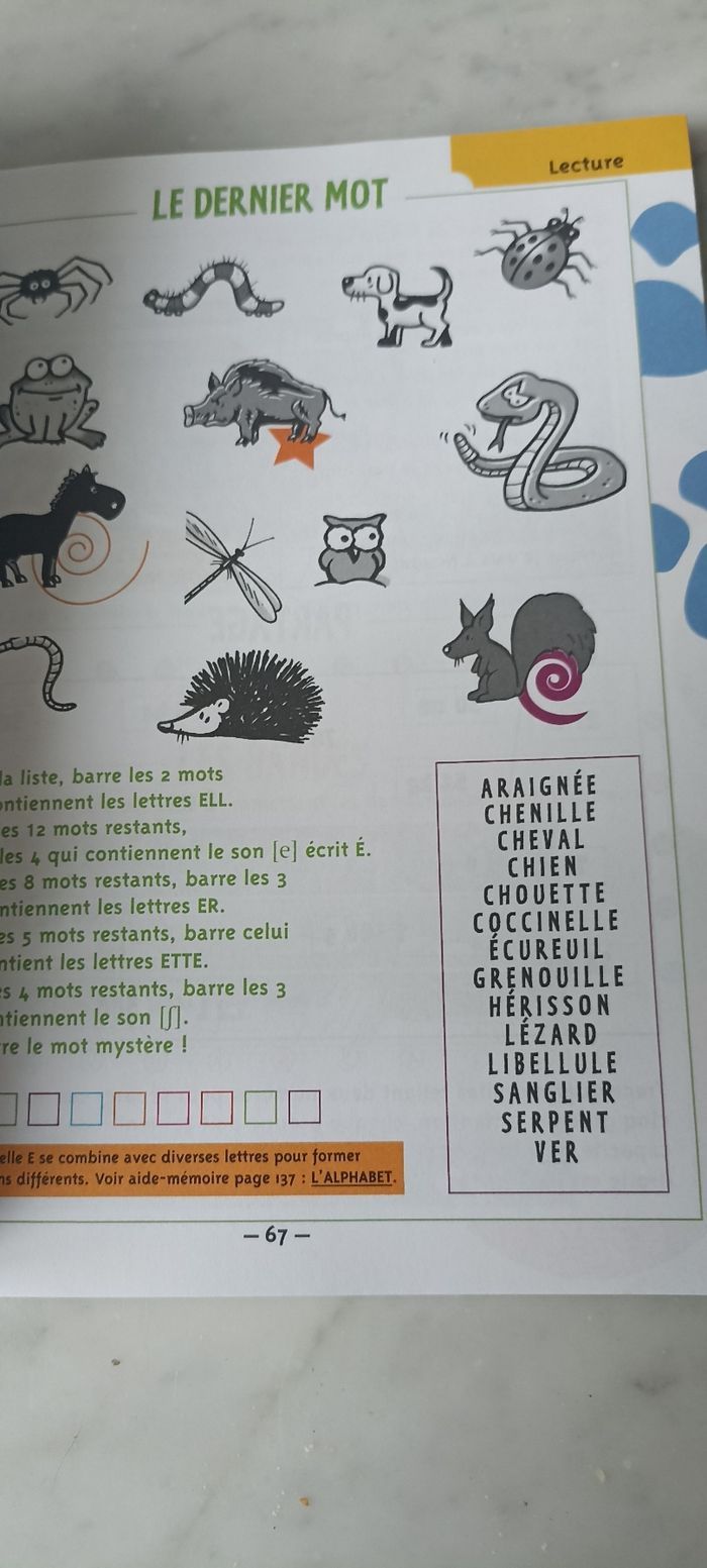 Jouet pour réviser du CE1 au CE2 - photo numéro 2