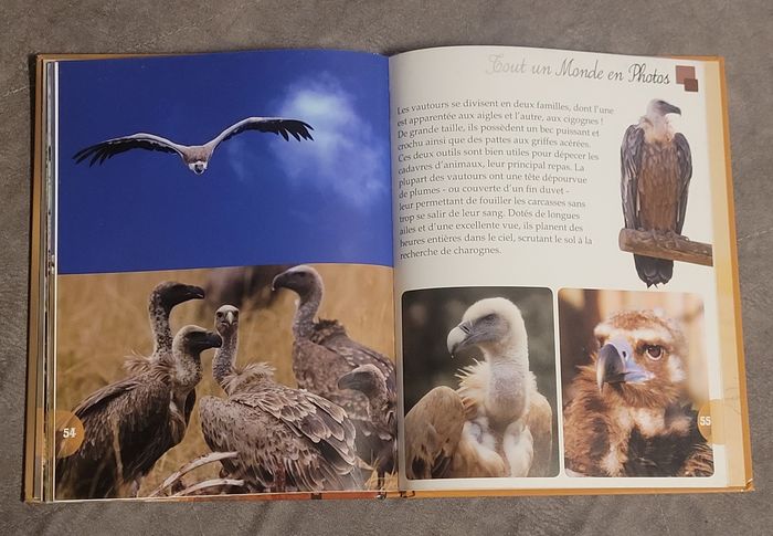 Les animaux de la savane Piccolia - photo numéro 5