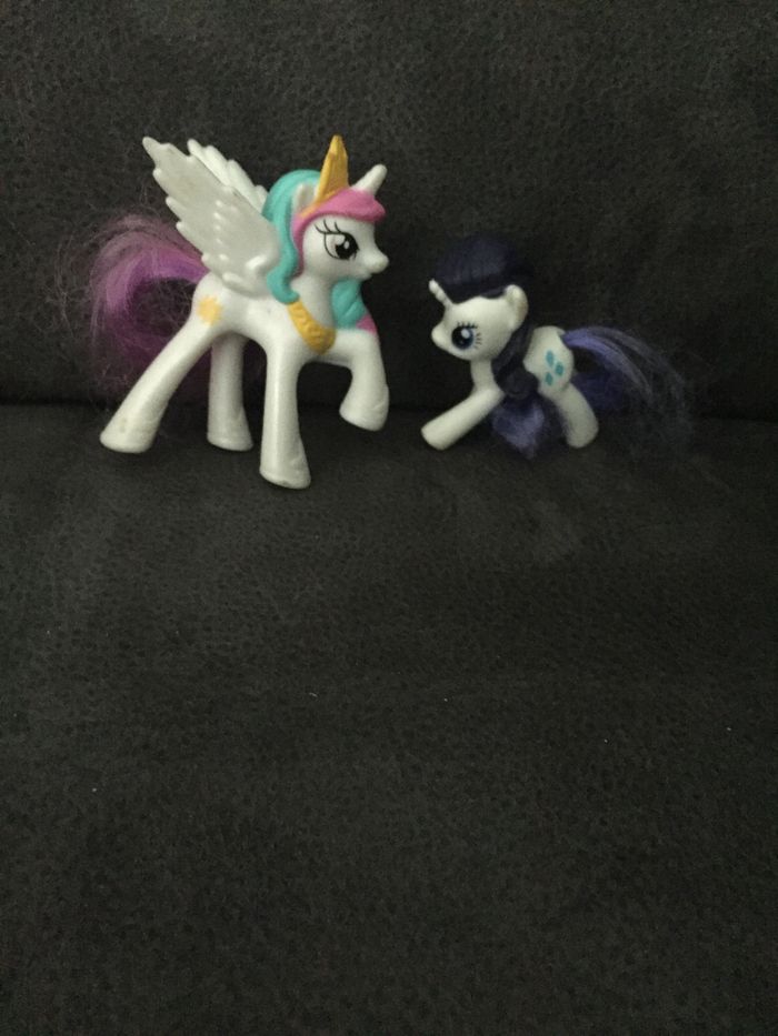 Petit poney