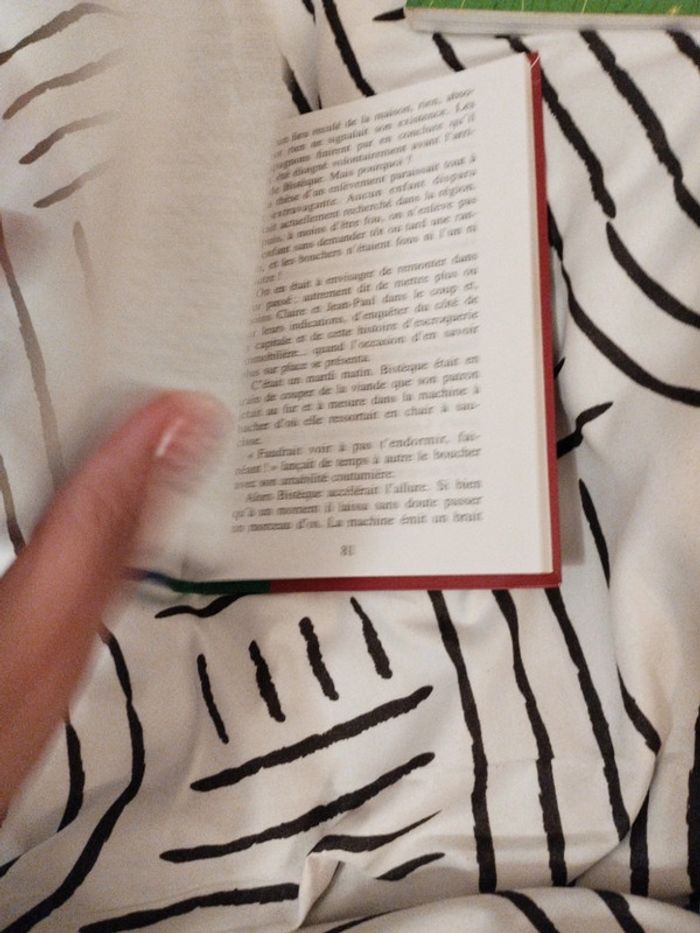 Livre Les 6 compagnons hors la loi - photo numéro 6