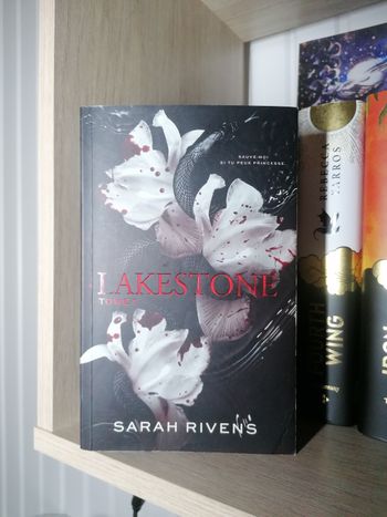Livre New Romance / Dark romance : " Lakestone, tome 1 ". 