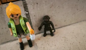 Playmobil Soigneuse avec bébé gorille 9074