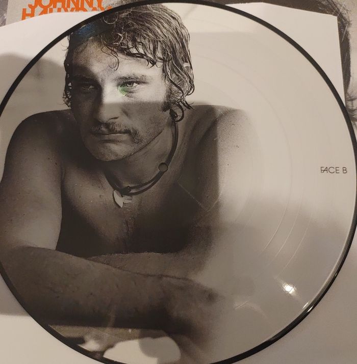 Vinyl johnny Halliday 33T - photo numéro 4