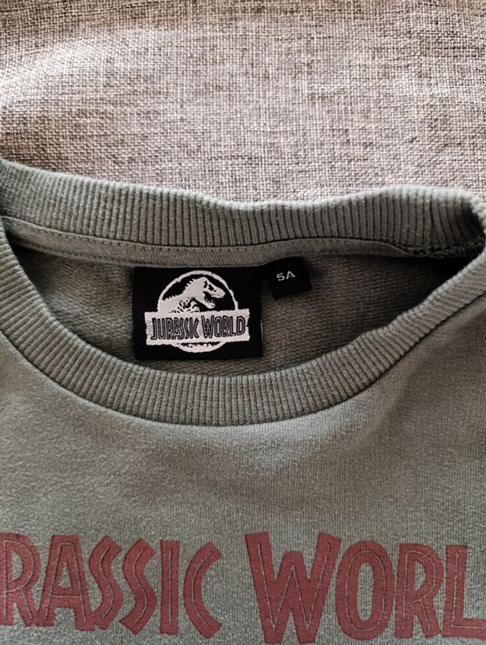 Pull Jurassic world dinosaure 🦖 5 ans - photo numéro 2