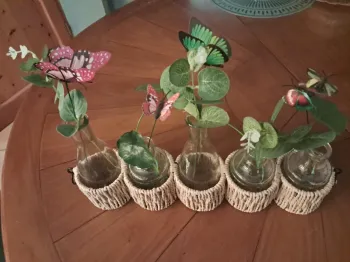 Set de 5 Soliflores Cosy