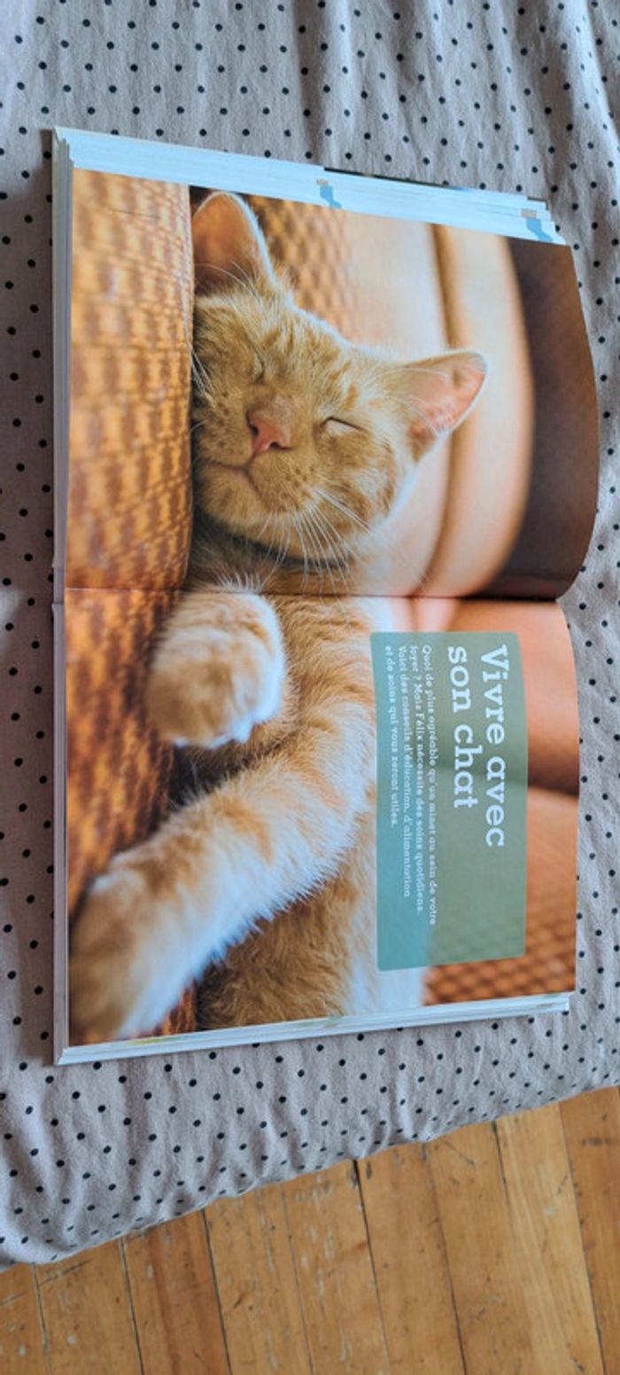 Le grand livre des chats et chatons - photo numéro 8