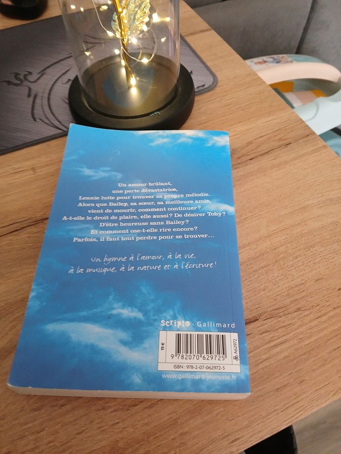 LIVRE LE CIEL EST PARTOUT DE JANDY NELSON - photo numéro 2