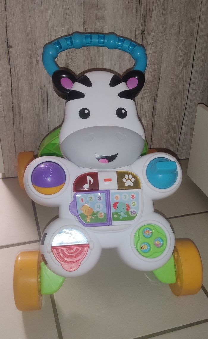 Trotteur zebre