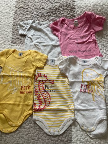 Lot 5 bodies manches courte