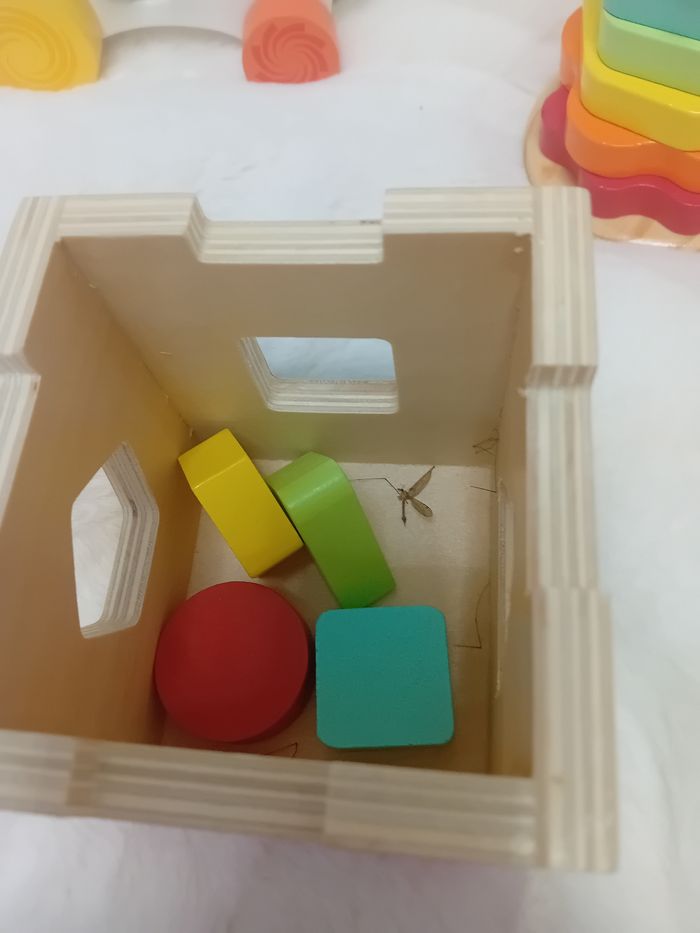 Jeux  bébé - photo numéro 3