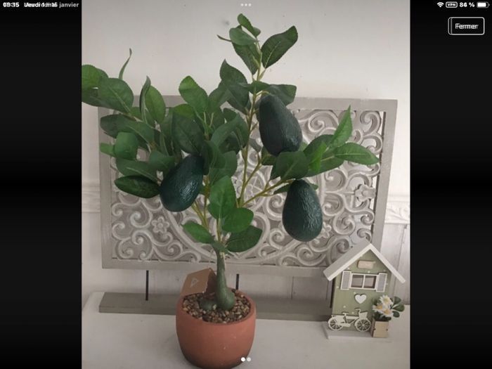 neuve grande plante articielle avocatier