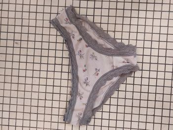 Culotte