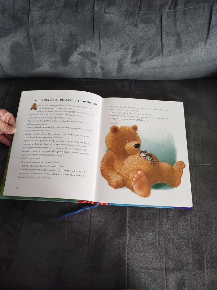 Livre enfant histoire d'ours - photo numéro 2