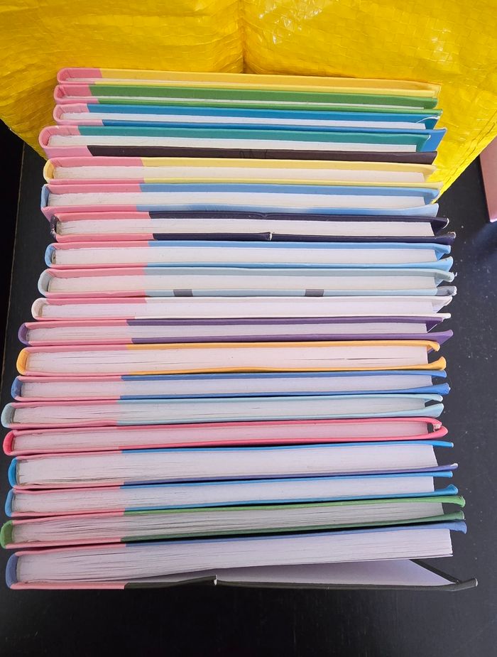 Lot de 19 livres mini loup - photo numéro 2