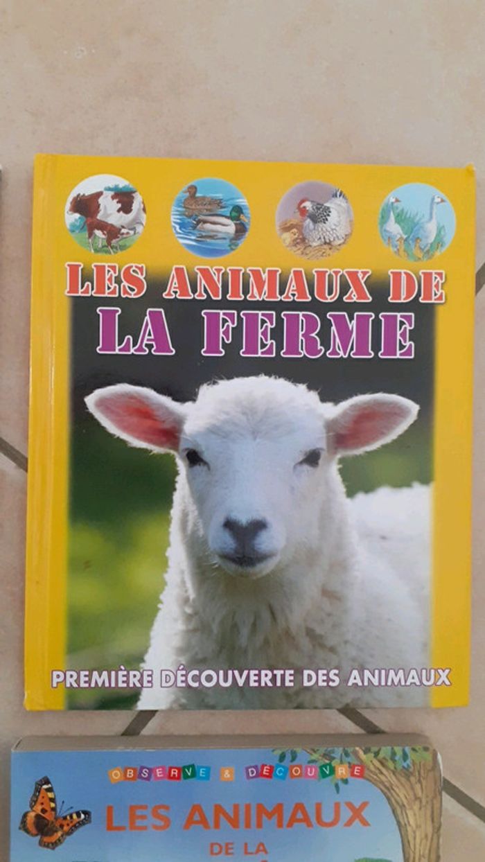 4 livres dont 2 livres cartonnés - photo numéro 5