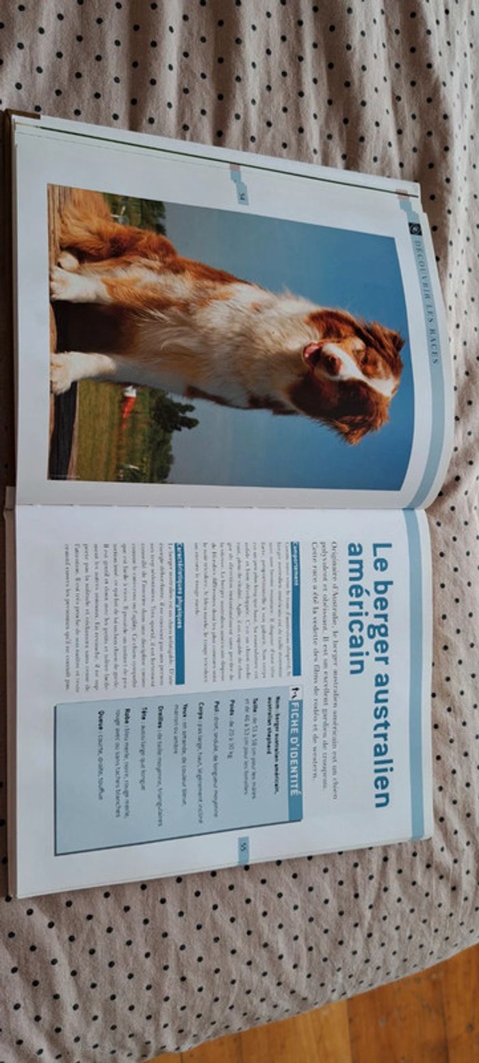 Livre le guide complet pour éduquer son chien - photo numéro 8