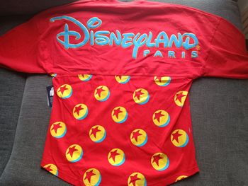 Pull sweat Pixar Disneyland neuf