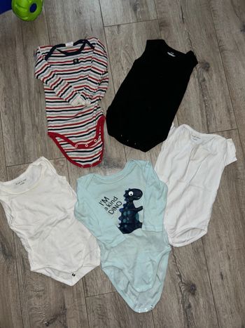 5 bodies