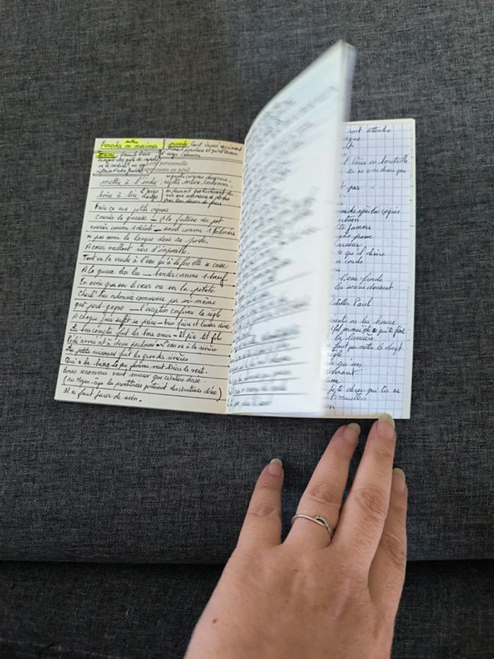 100 expressions à sauver - photo numéro 6