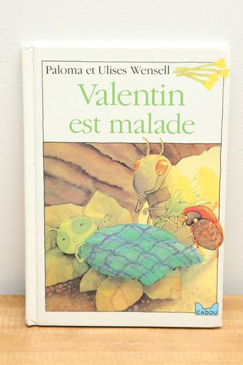 Valentin est malade