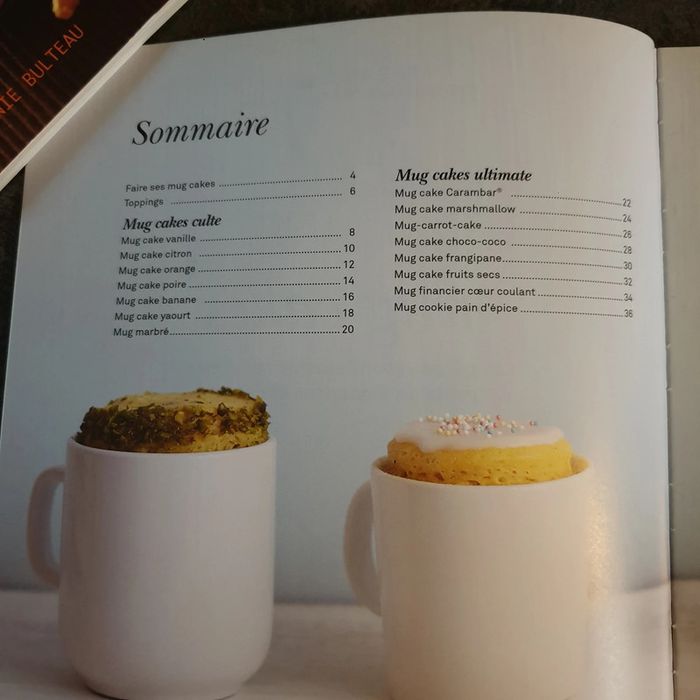 Livre mug cake - photo numéro 2