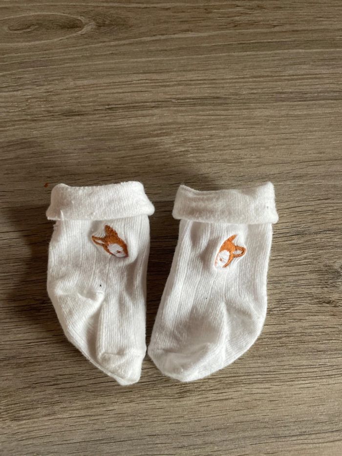 Ensemble - photo numéro 6