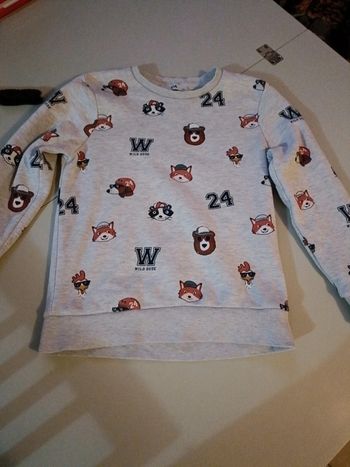 Pull c&A animaux de la forêt 10 ans