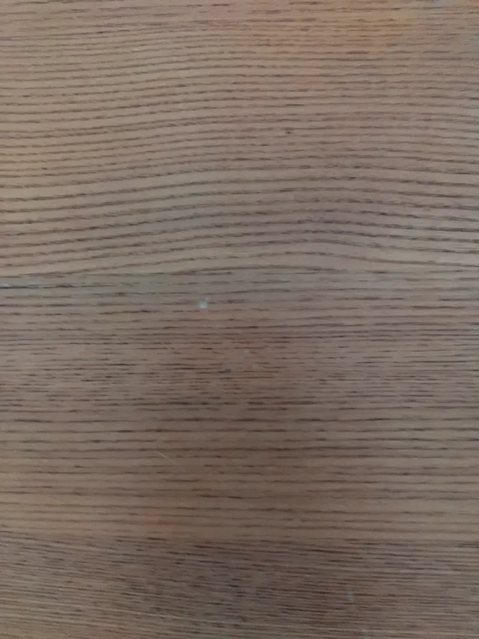 Histoire de la musique - photo numéro 6