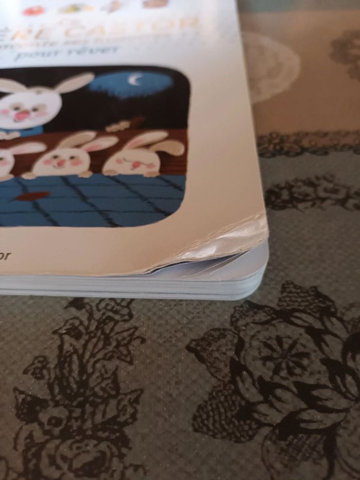 Livre père castor - photo numéro 3