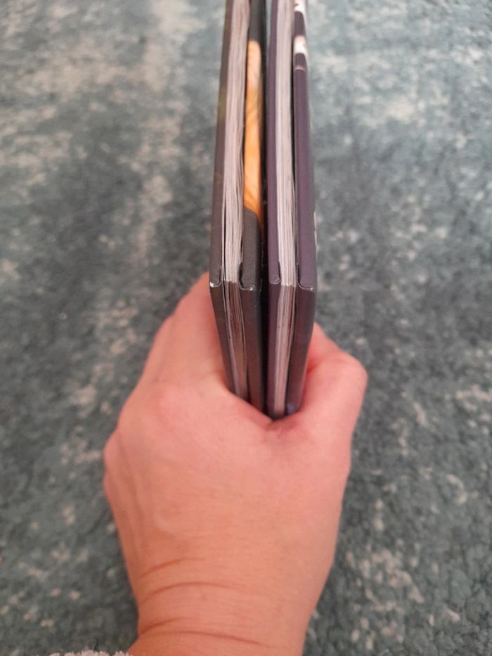 Lot livre cd disney raiponce + 101 dalmatiens - photo numéro 9