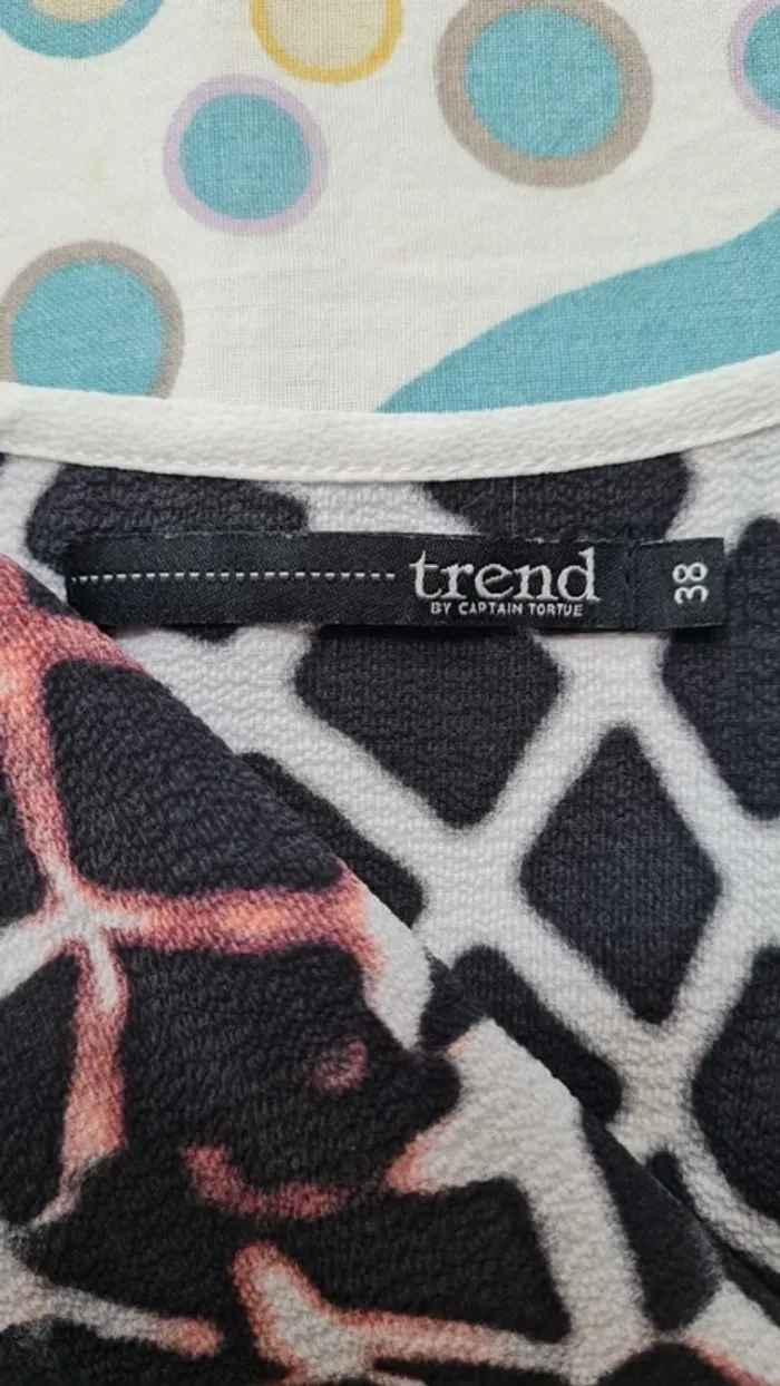 Top trend captain tortue - photo numéro 4