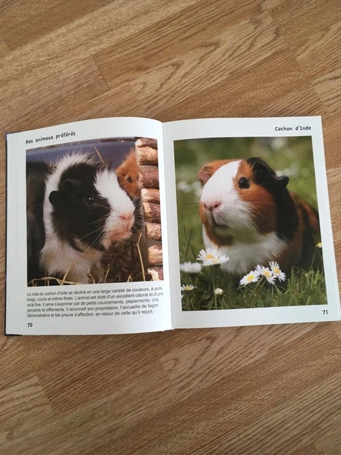 Animaux Encyclopédie XL des animaux préférés - photo numéro 2