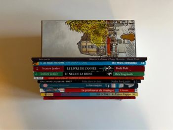 Lot Premiers Roman / Premières Lectures 7/9ans