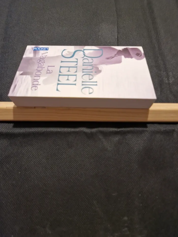 La vagabonde - Danielle Steel - photo numéro 3