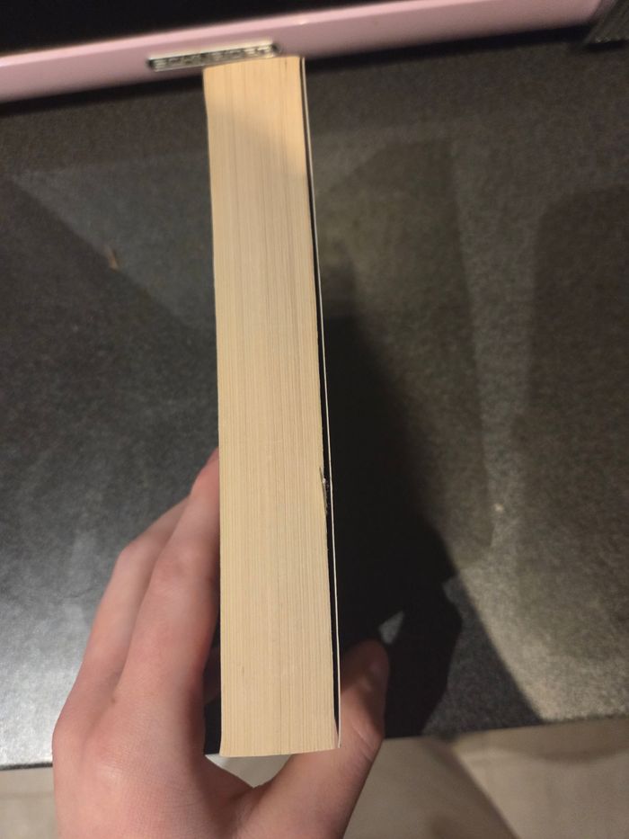 Roman un cri sous la glace - photo numéro 2