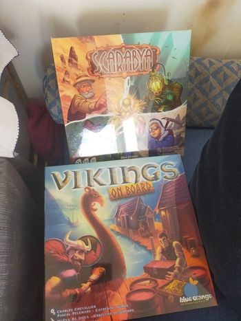 Vikings jeux neuf avec embalage