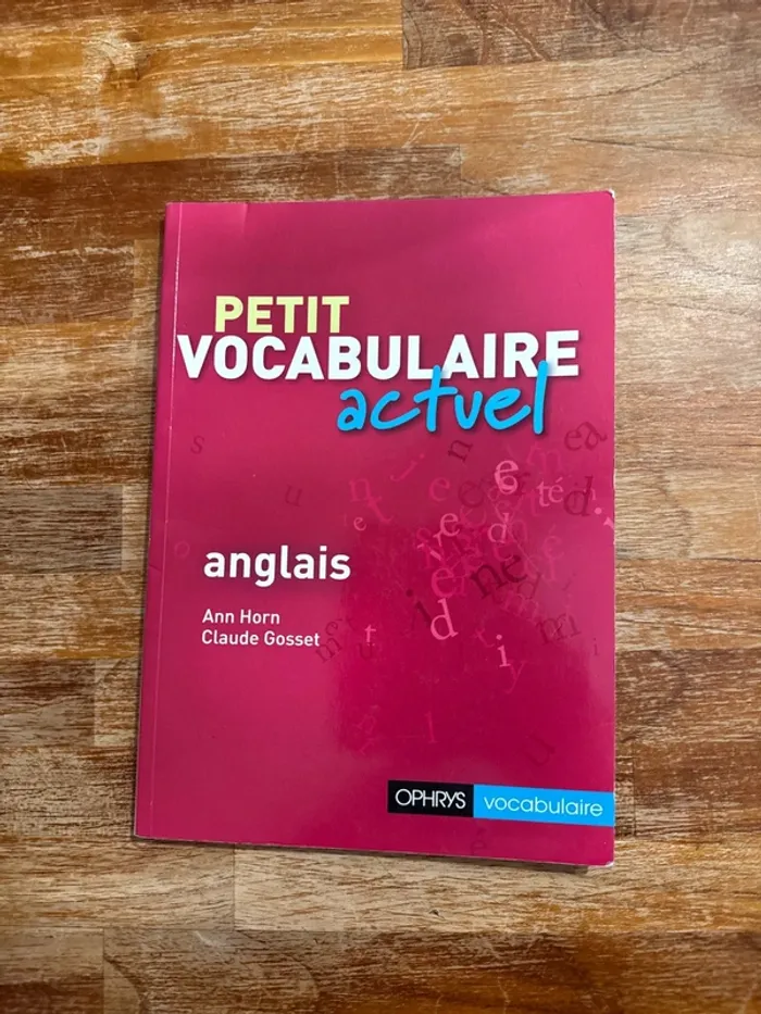 Livre petit vocabulaire actuel anglais