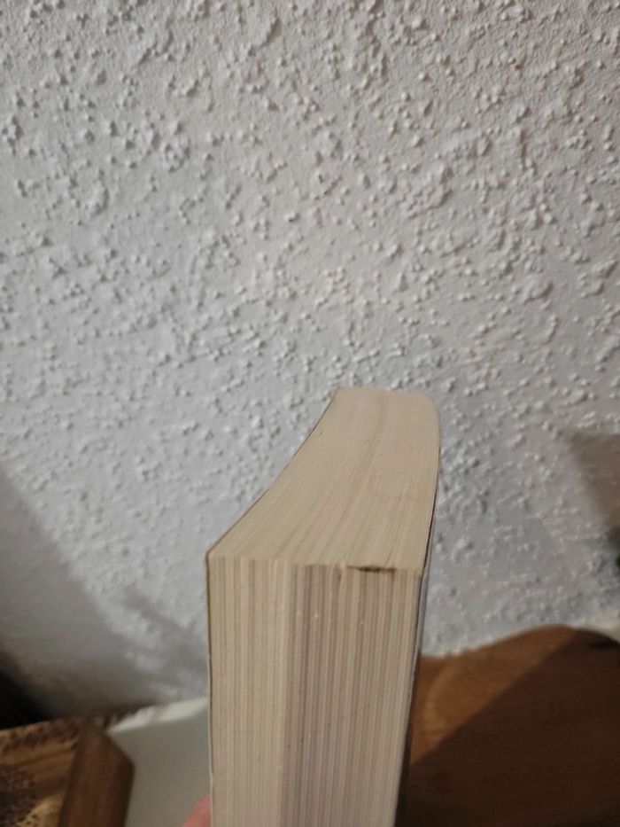 Livre "Ton tour viendra" de Gregg Hurwitz - photo numéro 9