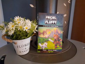 Livre Mincraft Frigiel et Fluffy