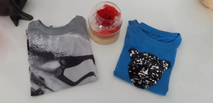 Lot de 2 t-shirts manches courtes garçon 5 ans - photo numéro 8