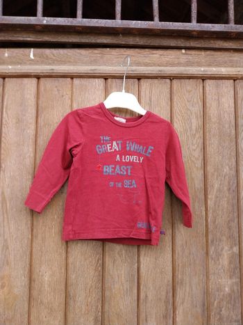 Tee-shirt manche longue bébé garçon 18 mois grain de blé