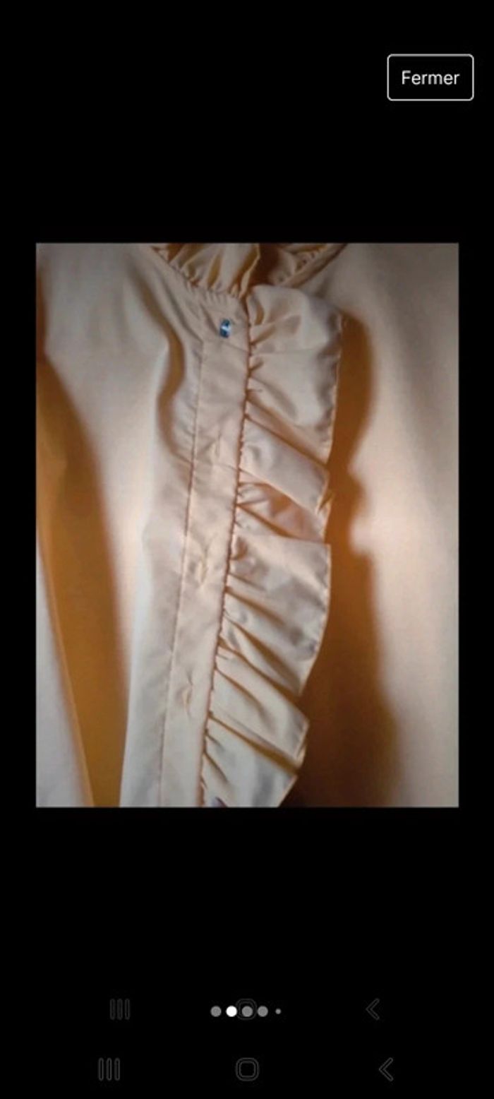 Chemisier chic - photo numéro 2