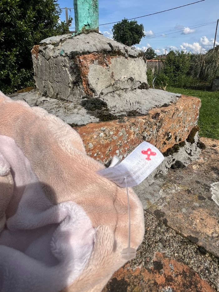 Doudou ours nicotoy - photo numéro 4