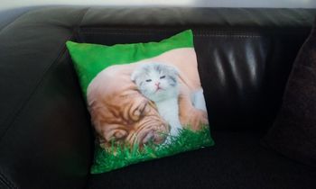 Coussin